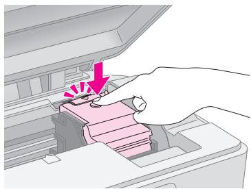 EPSON STYLUS DX6050 - Important : - 1