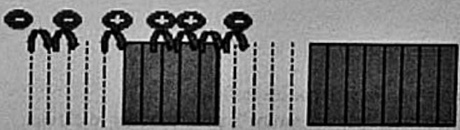 DELONGHI PARISIO - Mode chrono - 6