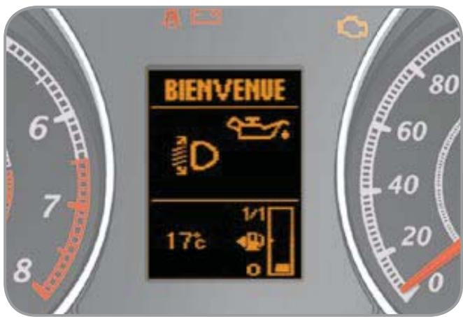 CITROEN C-CROSSER - Témoins - 1