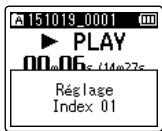 OLYMPUS LS-P2 - Marques d'index/marques temporaires - 2