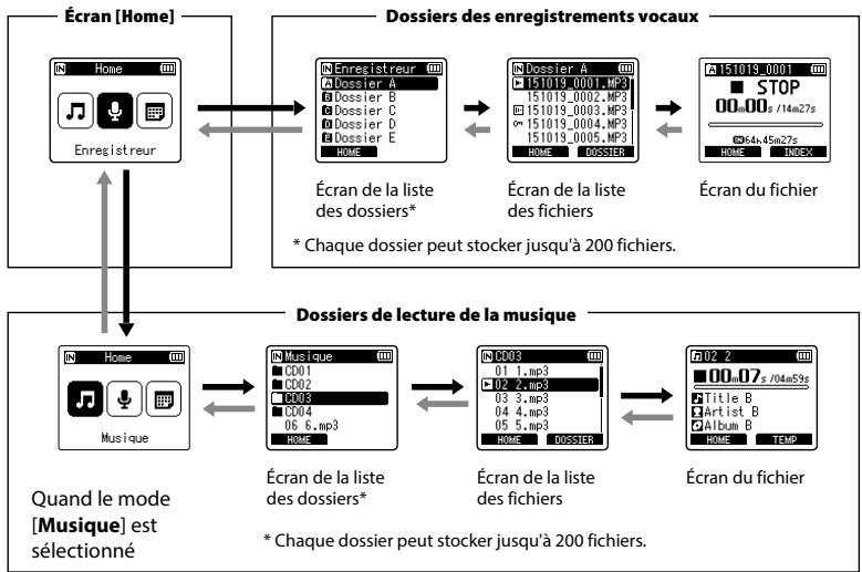 OLYMPUS LS-P2 - Sélection des dossiers et des fichiers - 1