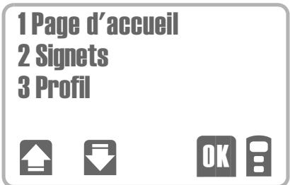 SIEMENS C35 - Menu → Bureau&amp;Lois. → Internet - 1