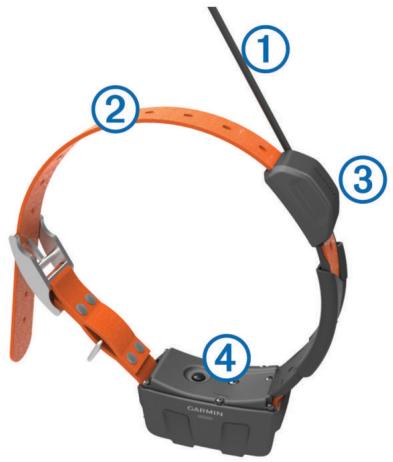GARMIN ASTRO 320 - Appareil pour collier de chien DC 50 - 1