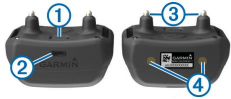 GARMIN DELTA SPORT - Appareil pour collier de chien delta - 1