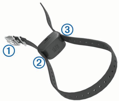 GARMIN DELTA SPORT - Fixation de l'appareil pour collier de chien à la sangle du collier - 1