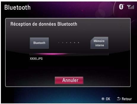 Bluetooth Réception de données Bluetooth Bluetooth Mémoire interne XXXX.JPG Annuler © OK > Retour