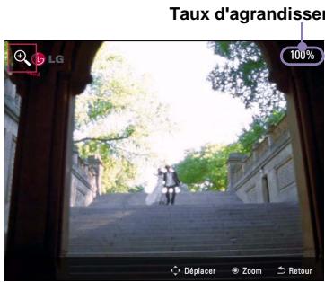 Taux d'agrandisser 100% Déplacer Zoom Retour