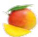 MAGIMIX JUICE EXPERT 3 - Coupe-légumes* - 6