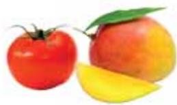 MAGIMIX JUICE EXPERT 3 - Les vitamines - 7