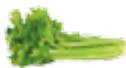 MAGIMIX JUICE EXPERT 3 - Filtre JUS - 1