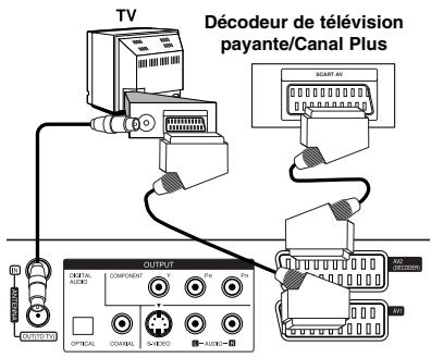 TV Décodeur de télévision payante/Canal Plus OUTPUT COMPONENT Poi Poi OFFICIAL CHANNEL S-NOO A-OURO- START AV