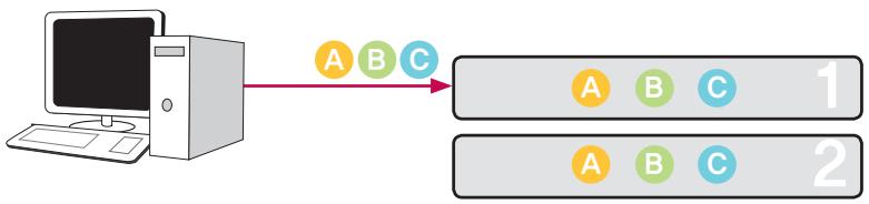 LG N2R1 - • Volumes Mirroring RAID1 - 1