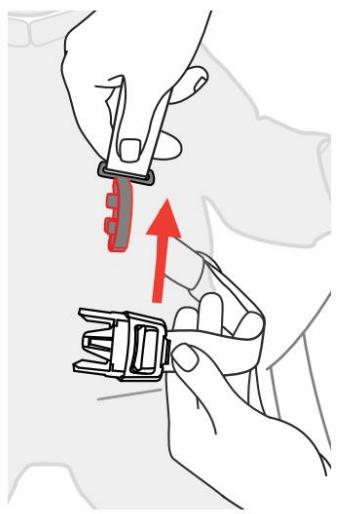 CHICCO ACTIV3 - Comment utiliser la ceinture de sécurité - 2