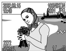 NIKON COOLPIX 4300 - Visualisation d'image plein écran - 1