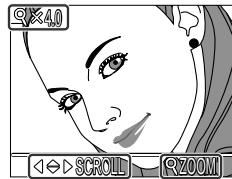 NIKON COOLPIX 4300 - Regarder de plus après : fonction loupe - 1