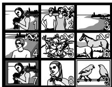 NIKON COOLPIX 4300 - Lecture par planche de vues miniatures - 1