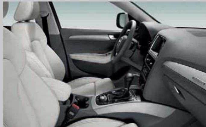 AUDI Q5 - Audi exclusive line Q5 - 19