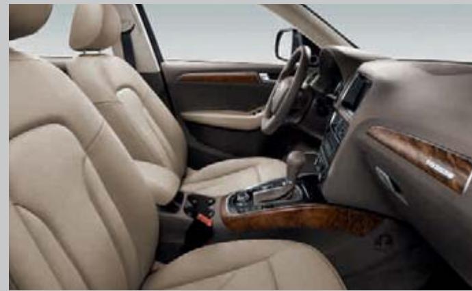 AUDI Q5 - Audi exclusive line Q5 - 16