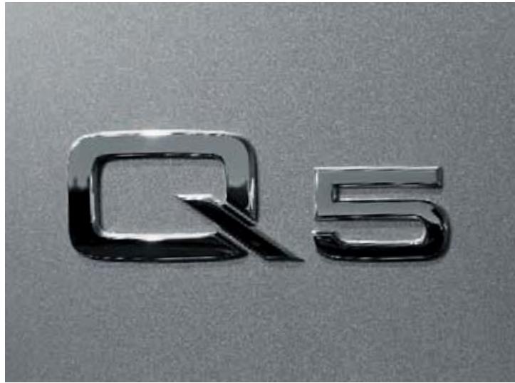AUDI Q5 - 4
