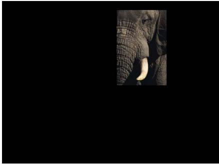 APPLE MOTION 3 - Coordonnées relatives - 3
