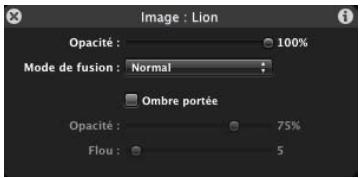 APPLE MOTION 3 - Outils de transformation 3D - 2