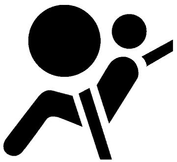 NISSAN LEAF - Étiquettes d'avertissement concernant les SACS gonflables - 1