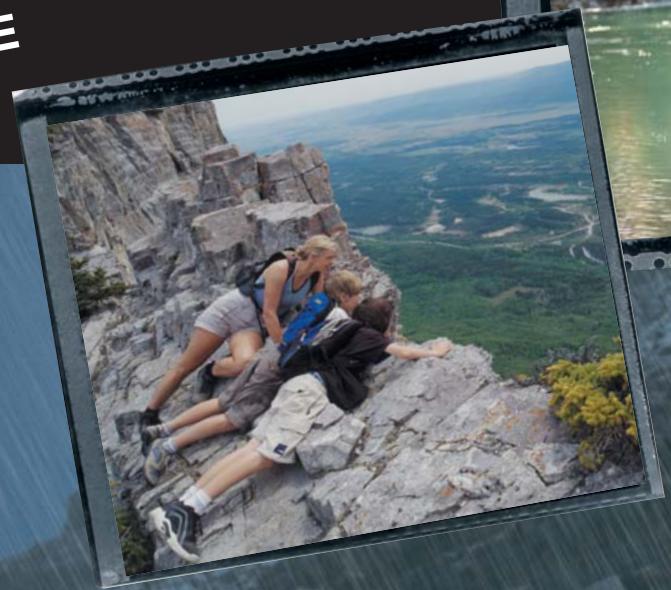 NISSAN PATHFINDER - 247VIVEZ l'aventure - 1