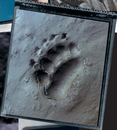 NISSAN PATHFINDER - Multimédia - 16