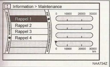 NISSAN QASHQAI - Couleur de FOND - 5