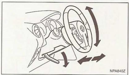 NISSAN QASHQAI - Remarque - 1