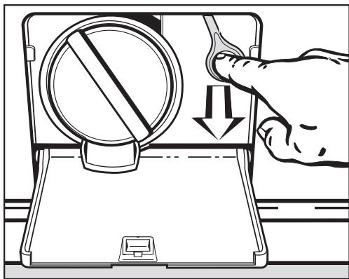 MIELE WDA 100 - Ouvrir la porte - 1