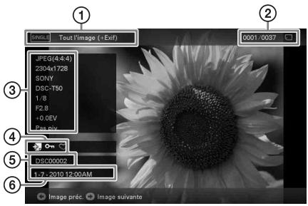 SONY DPF D1020B - À propos des informations affichées sur l'écran LCD - 1