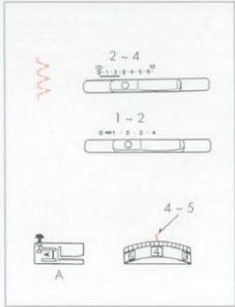 ELNA 3003 - Point de coquille interlock - 1
