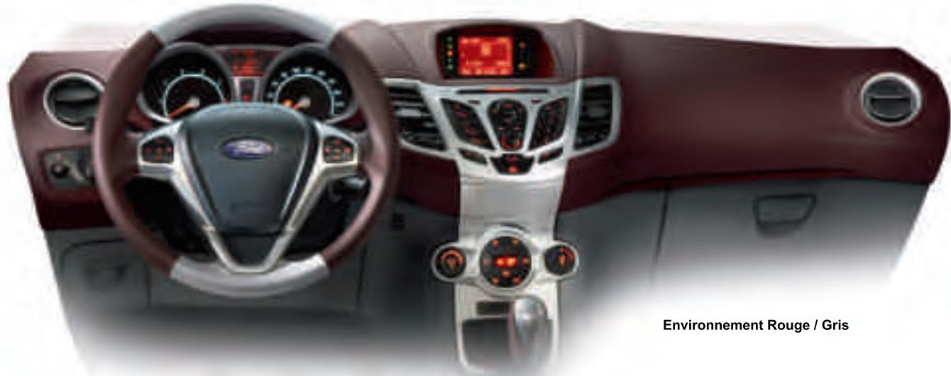 FORD FIESTA - L'élegance dans les moindres détails - 1