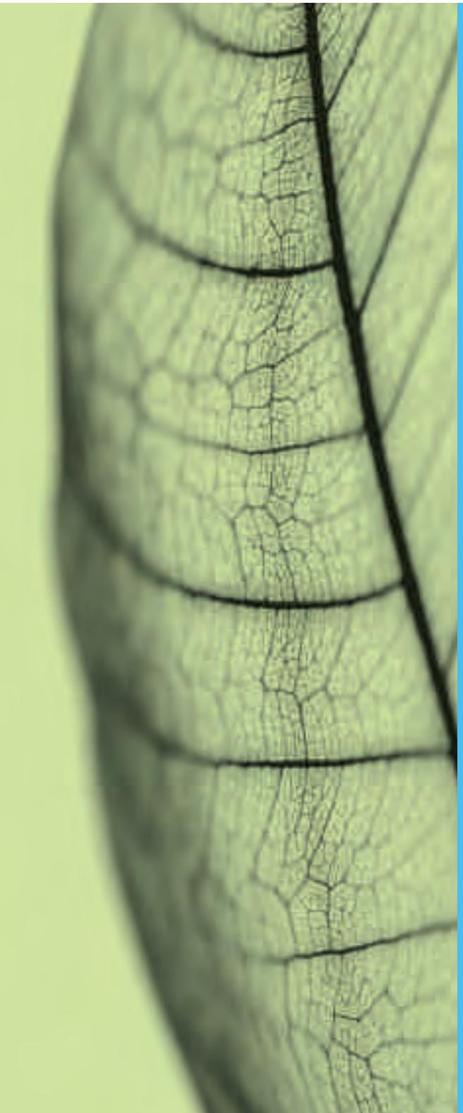 FORD FIESTA - Recycler pour de bon - 1