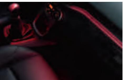 FORD FIESTA - Baguette chromée sous les vitres latérales - 1