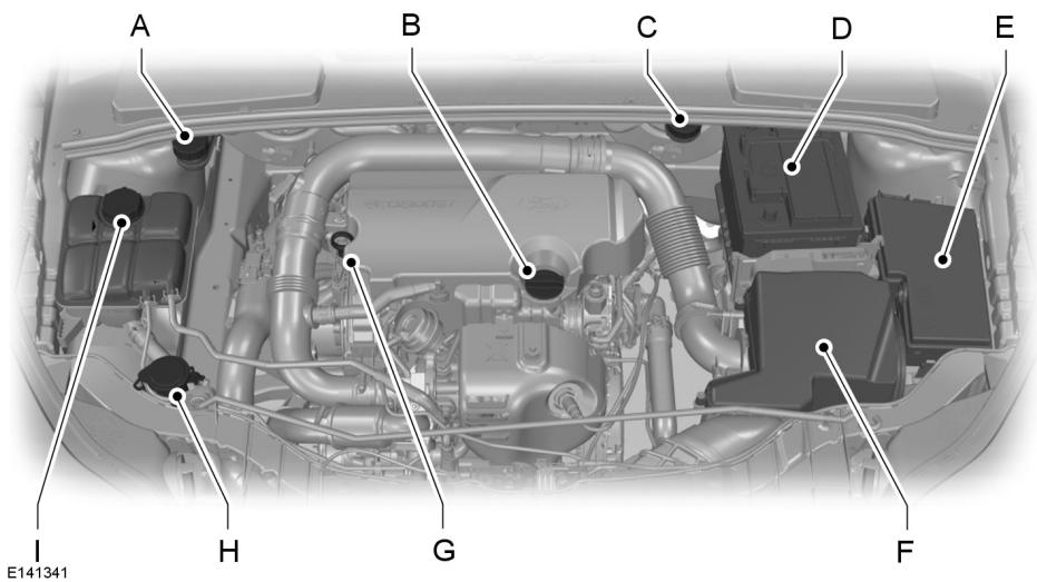 FORD FOCUS - VUE d'ensemble sous le CAPOT - 1.0l ecoboost - 1