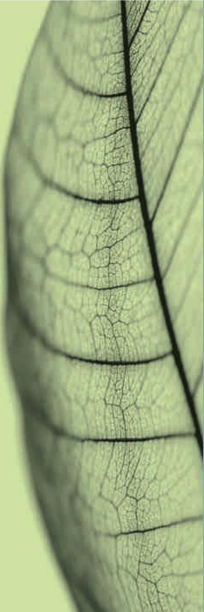 FORD RANGER - Recycler pour de bon - 1