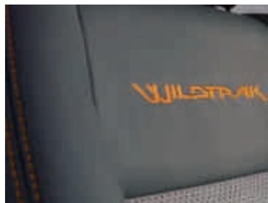 FORD RANGER - Pédales sport - 2