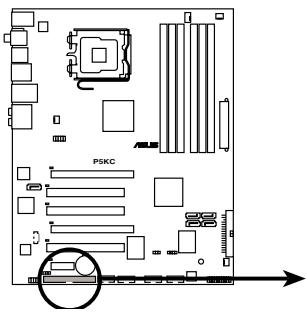 ASUS P5KC - Connecteur IDE (40-1 pin PRI_EIDE) - 3