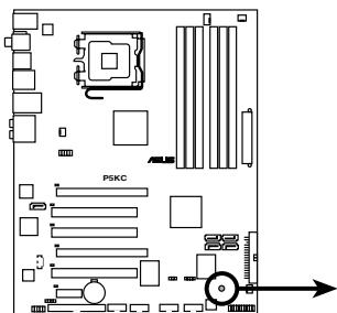 ASUS P5KC - LED embarquée - 1