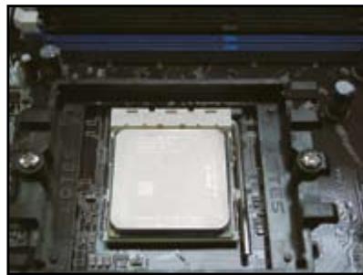 ASUS G-SURF365 - Socket AMD AM2 - 5