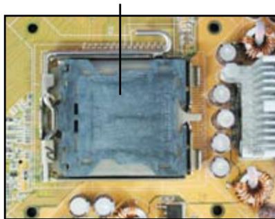 ASUS I220GC - Socket Intel LGA775 - 1