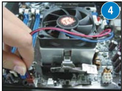 ASUS I220GC - Pour les dissipateurs certifiés AMD: - 4