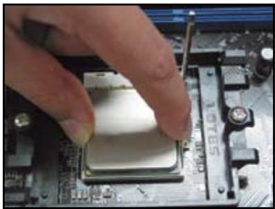 ASUS M3A78 - Socket AMD AM2 - 4
