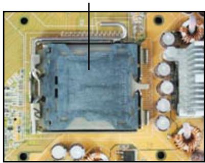 ASUS M3A78 - Socket Intel LGA775 - 1