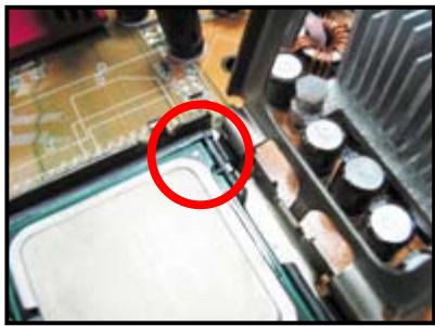ASUS M3A78 - Socket Intel LGA775 - 6