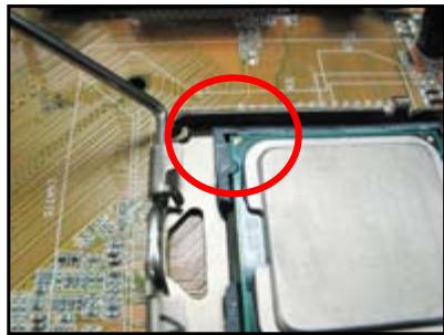 ASUS M3A78 - Socket Intel LGA775 - 4