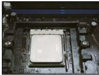 ASUS M3A78 - Socket AMD AM2 - 5