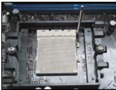 ASUS M3A78 - Socket AMD AM2 - 2